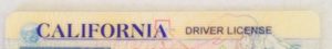 drivers license