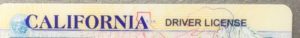 drivers license