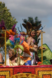 Peacock feathers